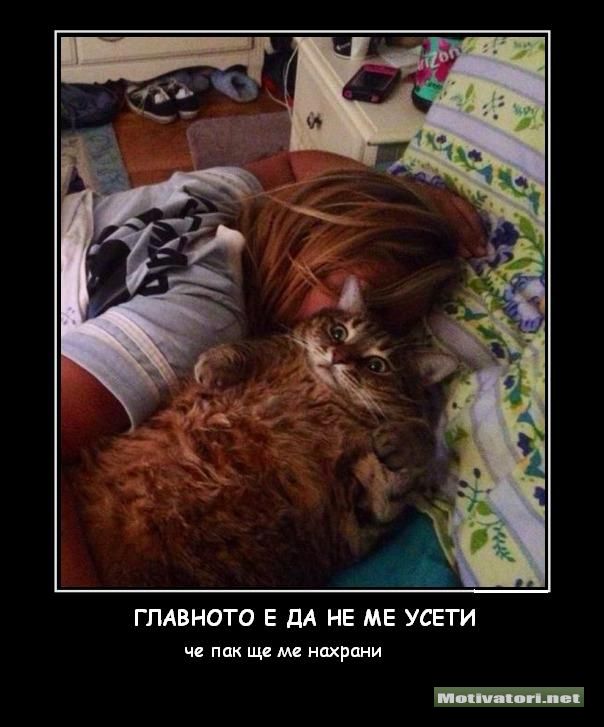 Хайде на новите вицове :) 15351-0
